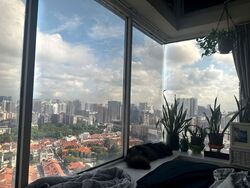 The Plaza (D7), Apartment #600076471